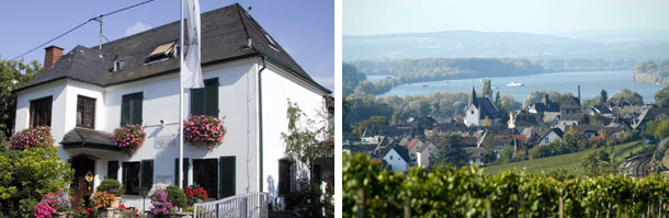 hattenheimweingut